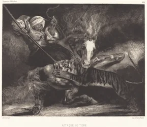 Aanval van de tijger