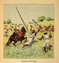 De oorlog in Madagaskar-Anekdotische geschiedenis van de Franse expedities van 1885-1895 door Henri Galli dit Galllichet (1854-1922), geïllustreerd door Louis Bombled (1862-1927): De jacht op wilde ossen in Madagaskar in 1895, Privécollectie