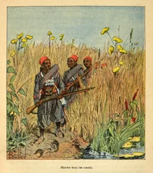 De oorlog in Madagaskar - Anecdotische geschiedenis van de Franse expedities van 1885-1895 door Henri Galli, geïllustreerd door Louis Bombled: Franse troepen op expeditie in de moerassen van Madagaskar in 1895, Privécollectie