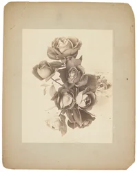 Tiffany Studios, c.1898-1920