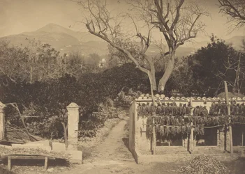 Landbouwscène met Bergen, 1850s