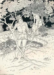 Illustratie bij Spensers Faerie Queene. Canto II. Vers 30