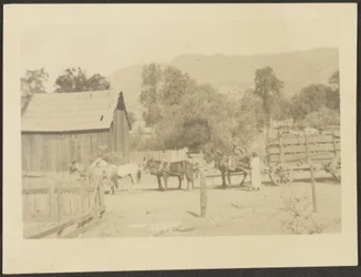 [Barnyard Scene].