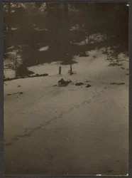 [Kind sleeën heuvel af].