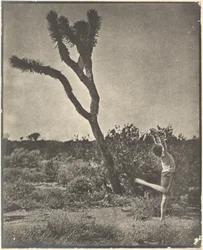 [Danser bij Joshua Tree]