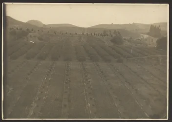 [Boerderijlandschap].