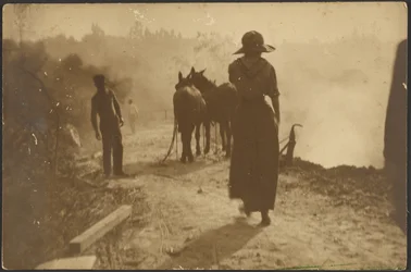 [Boerderijtafereel met een vrouw die naar de paarden loopt]