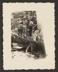[Figuren in het bos].