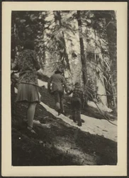 [Figures in the Woods].