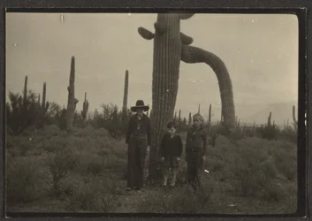 [Figuren met cactus]