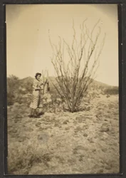 [Florence met grote cactus].
