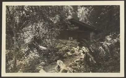 [Forest Lodge].