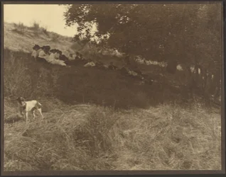 [Groepsfoto: Rustend in het veld met hond]