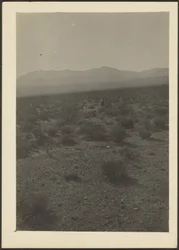 [Landschap]