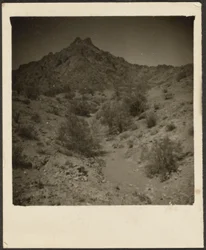 [Landschap]