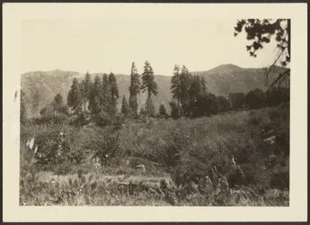 [Landschap]