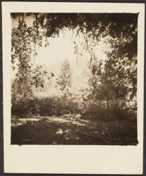 [Landschap]