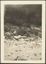 [Landschap]