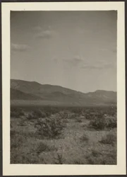 [Landschap]