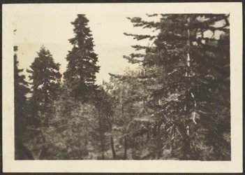 [Landschap]