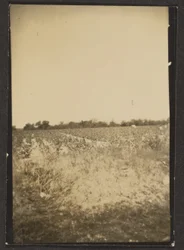 [Landschap]