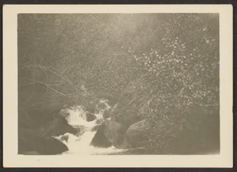 [Landschap]