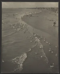 Newport Strand
