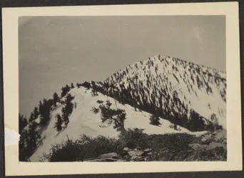 [Telescope Peak].