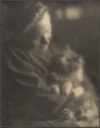 De huisdier-angora