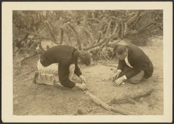 [Two Men and Cactus].