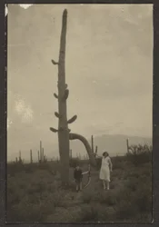 [Vrouw en kind met cactus]