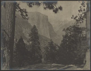 Yosemite, door de dennen