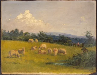 Landschap in de buurt van Swansea