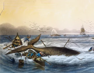 Walvisvangst in Zuidzeeën, kleurenlithografie door Louis Lebreton (overleden 1866)