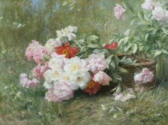 Vers gesneden bloemen