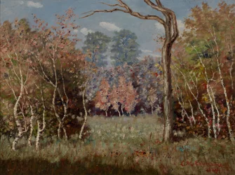Herfstlandschap
