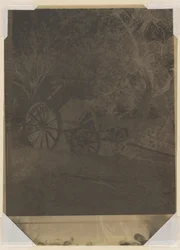 Winkelwagen