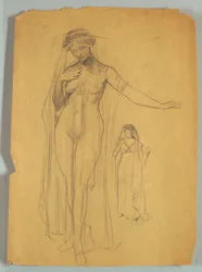 Studie van gesluierde naakte figuur