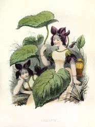 Allegorieën, la Violette