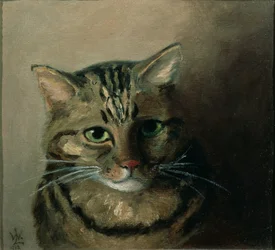 Een hoofdstudie van een cyperse kat