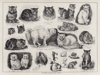Kattenshow in het Crystal Palace