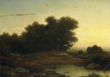 Uitzicht in het bos bij zonsondergang