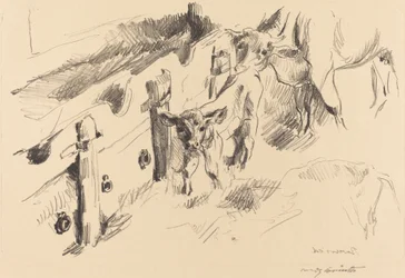 Kalveren
