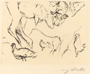 Verschiedene Tierstudien, 1917