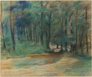 Bospaadje, 1890s