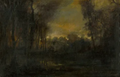 Moerassig landschap