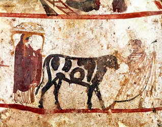 Een stier wordt naar het offeraltaar geleid. Lucanisch fresco uit de 4e eeuw v.Chr., afkomstig uit de necropolis van Andriuolo in Paestum, Italië. Museo Nazionale Archeologico, Paestum