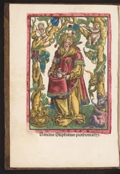H. Stefanus