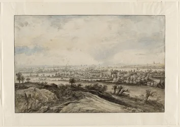 Een panoramisch rivierlandschap met knotwilgen