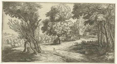 Boslandschap